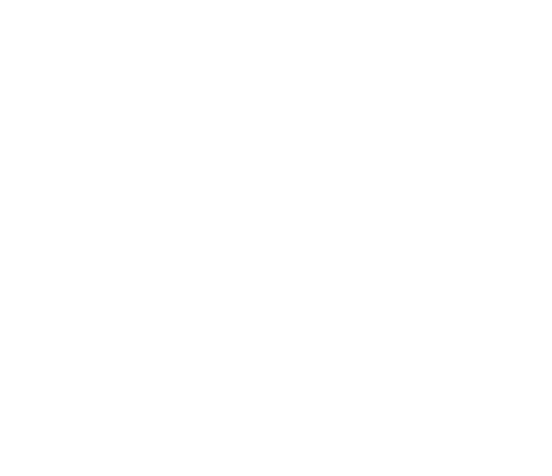 RAYASOFT
